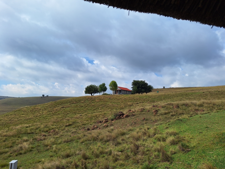 11 Bedroom Property for Sale in Vrede Free State